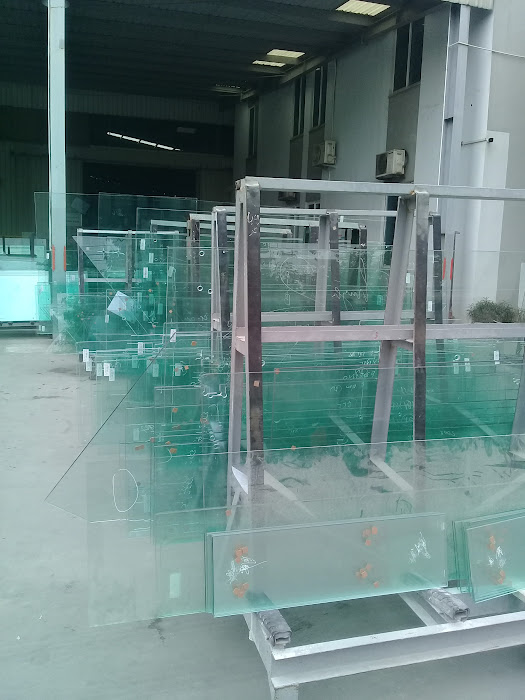 Kính cường lực Hải Long